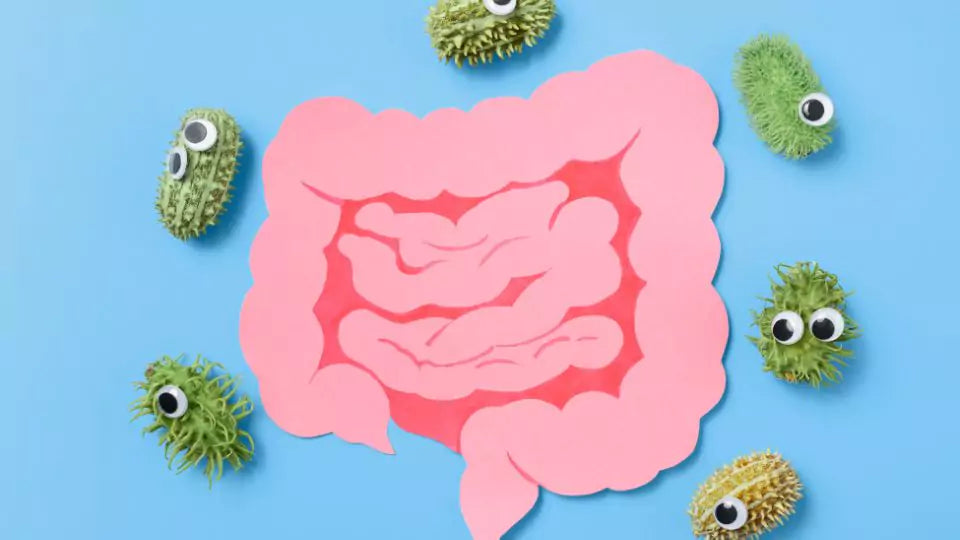 Tarm med dårlige bakterier 